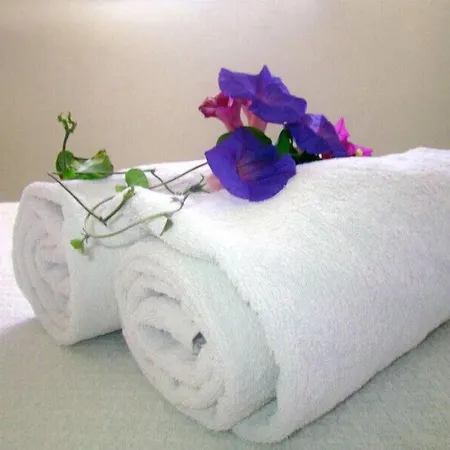 Apartment Alonistra Oia Foinikia (Santorini)