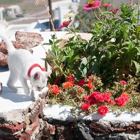 Apartamento Alonistra Oia