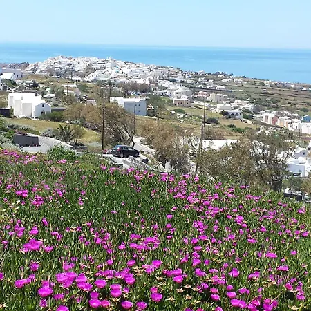 Apartamento Alonistra Oia